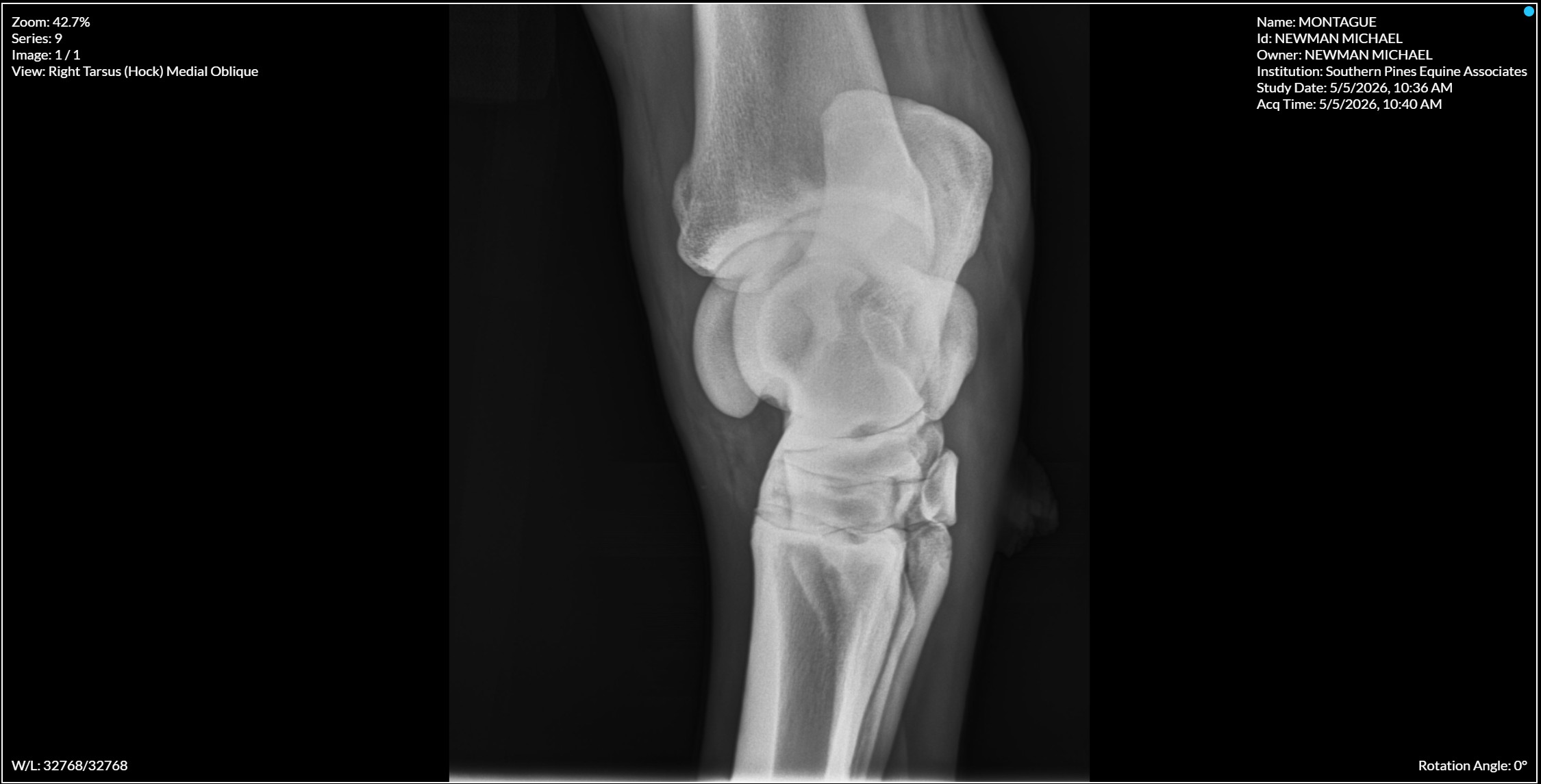 Right Tarsus Hock Medial Oblique